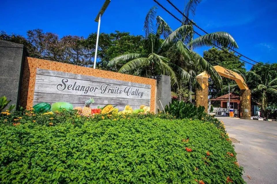 雪州水果谷重开大优惠 门票周三起买三送一