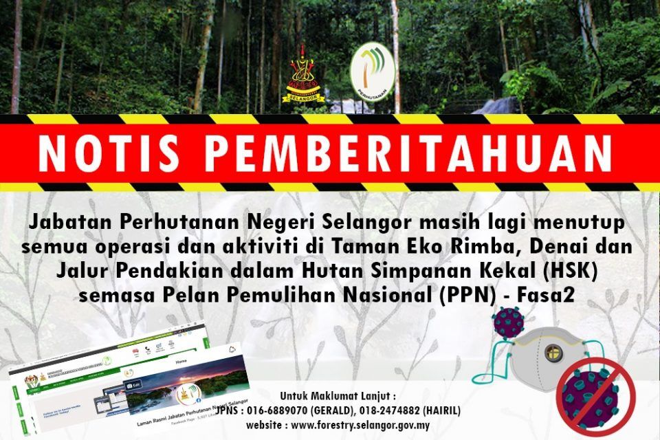 雪森林步道登山道  复苏次阶仍禁开放