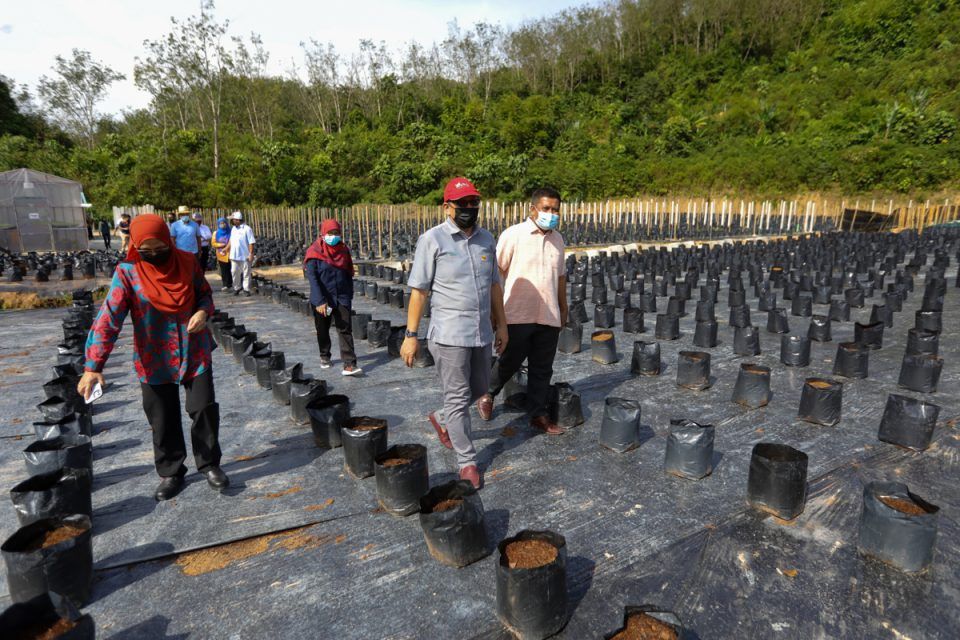 雪州政府已花费340万 助农畜牧业度过行管令难关