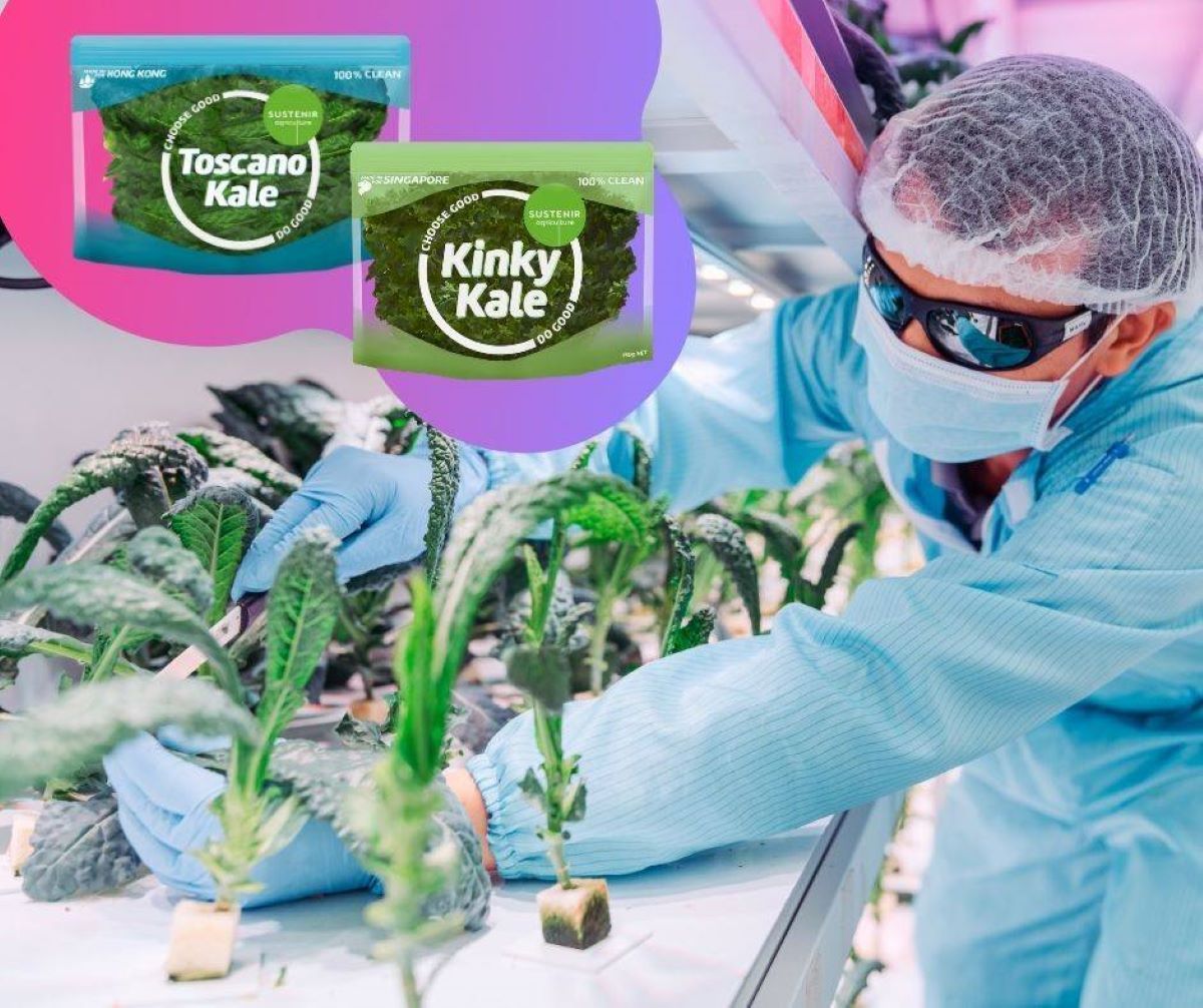 Growing non-native superfoods in Kajang