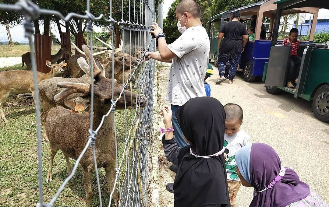 雪州水果谷重开  周末迎来逾千名访客