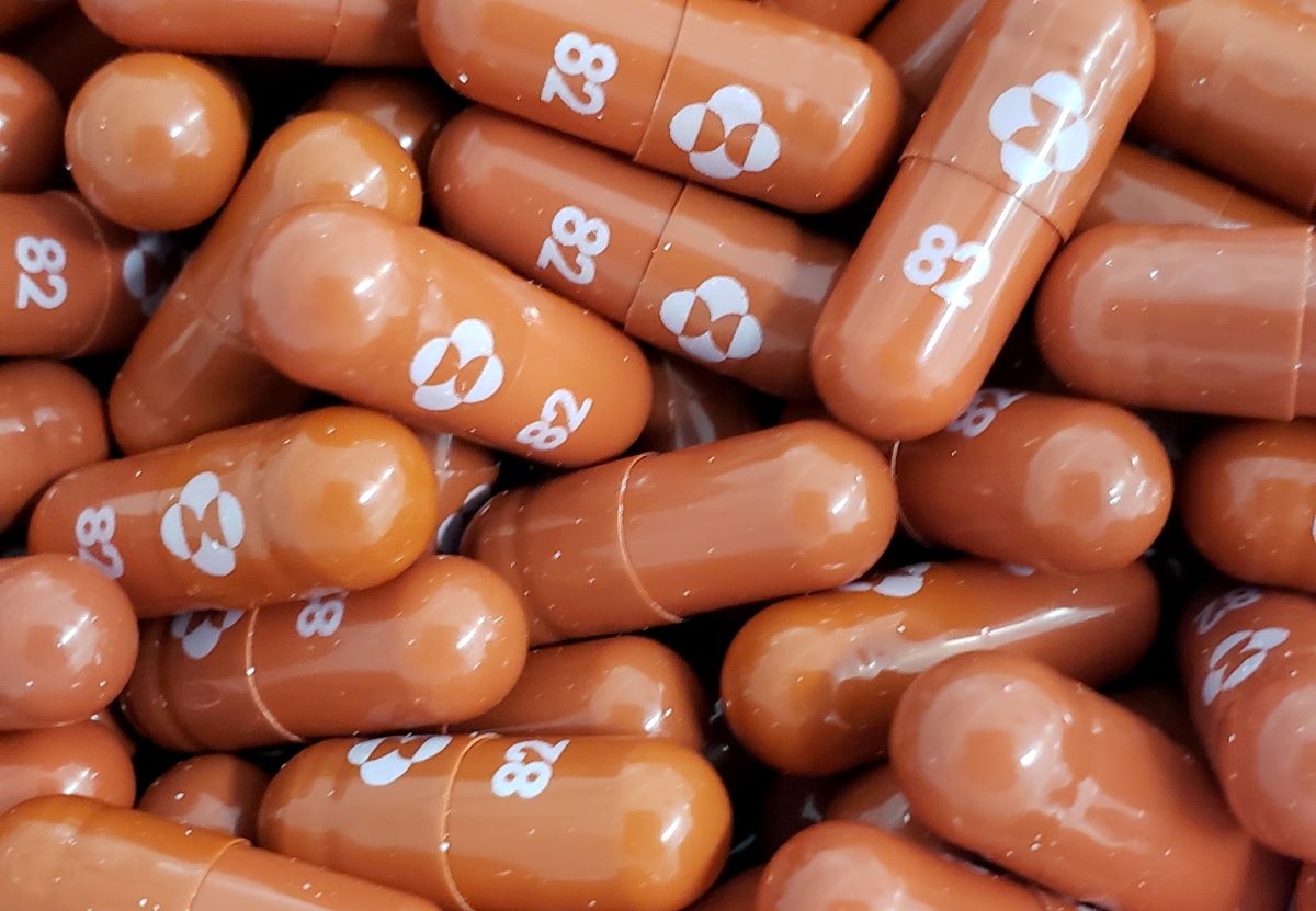 Indonesia to begin local production of Covid-19 antiviral pills soon