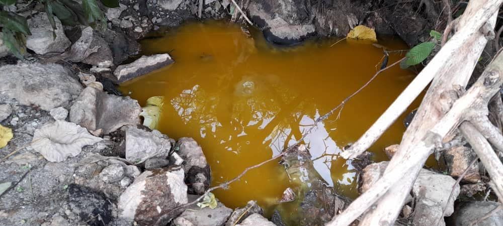 面包厂植物油溢出污染河流 环境局暂撤执照下令改善