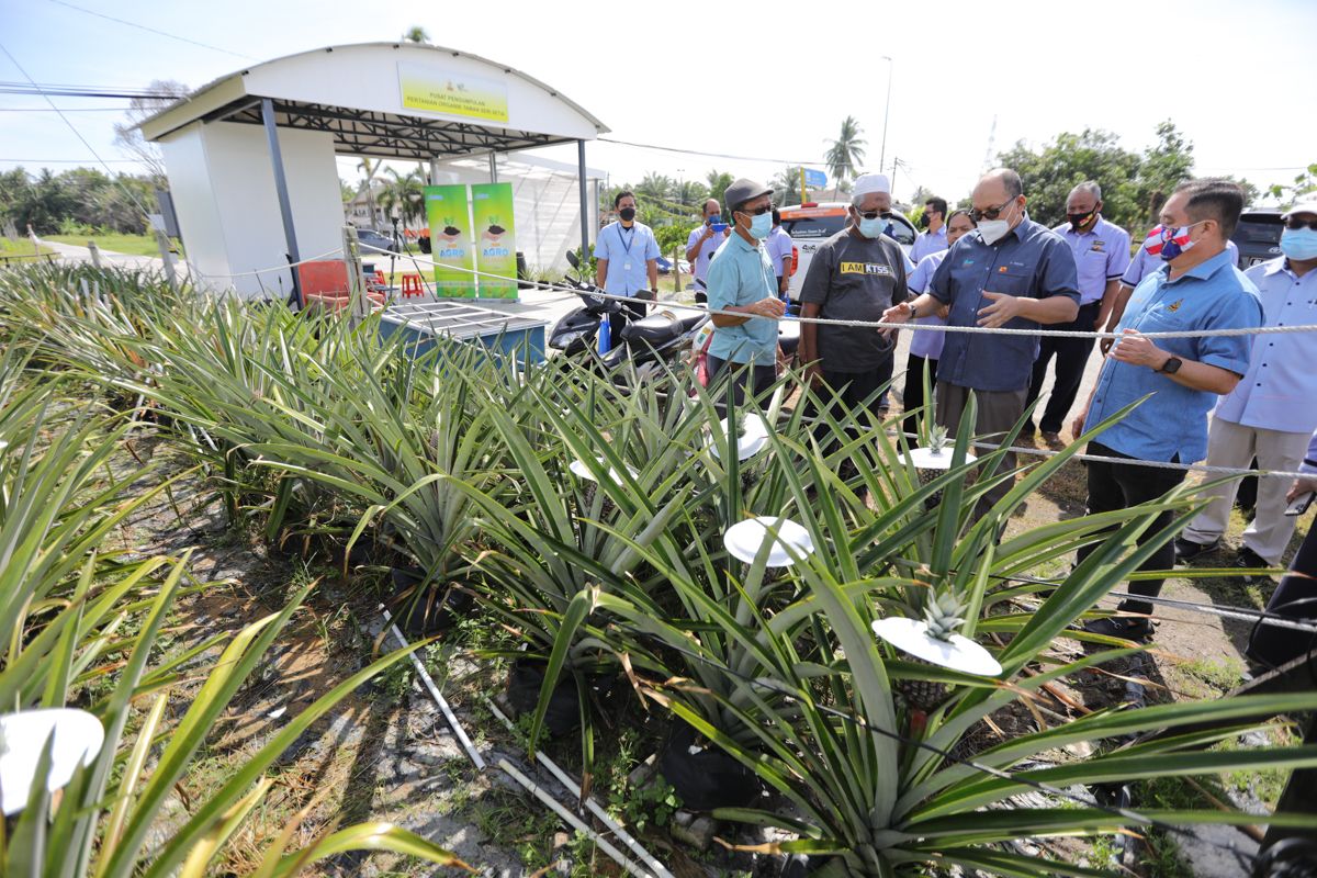 雪州即起寻农业代言人  欢迎务农者24日前参赛