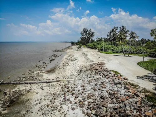 Kelibat buaya dilihat di Pantai Bagan Lalang, orang ramai dinasihatkan berwaspada