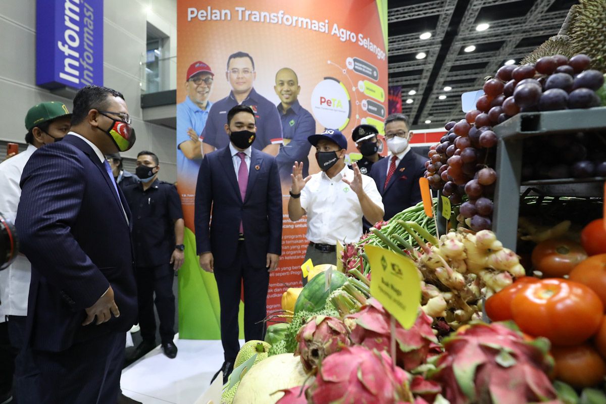 雪大臣专栏：雪国际商峰会逆境创奇迹