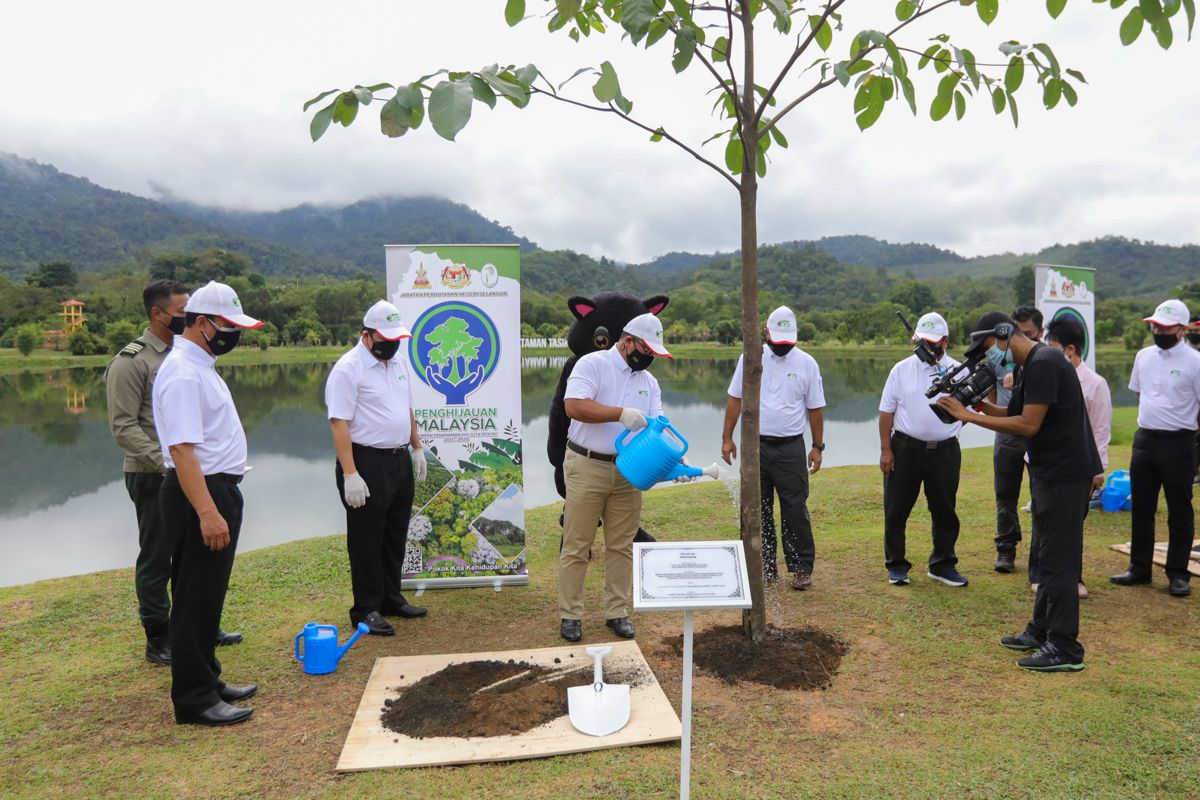 MB rasmi hari hutan antarabangsa, isytihar Kuala Kubu Bharu wilayah CFS