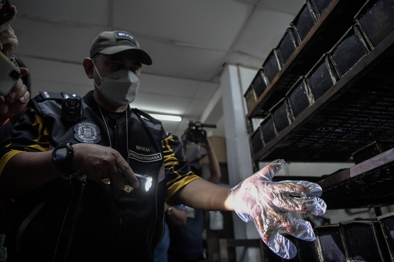 Kilang roti ada najis tikus diarah tutup dua minggu