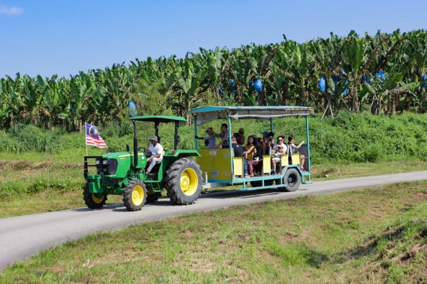 Over 600 drop by Selangor Fruits Valley for Deepavali
