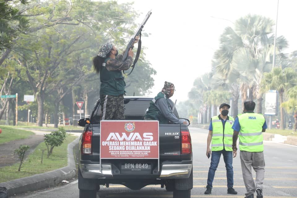 ஷா ஆலம் வட்டாரத்தில் நேற்று 1,453 காக்கைகள் சுடப்பட்டன