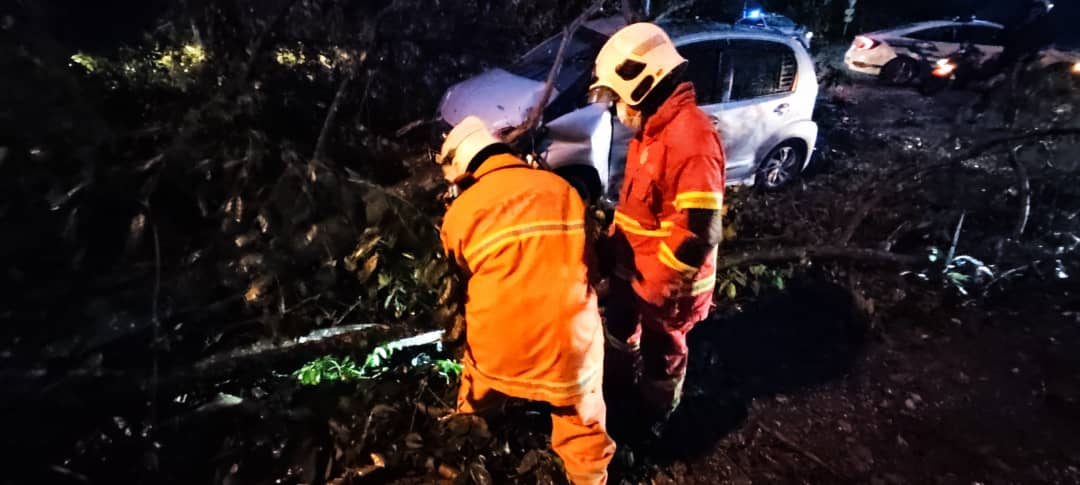Kereta dihempap pokok ketapang, tiga sekeluarga selamat