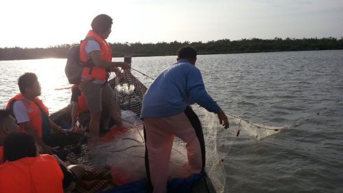 2026年经济普查聚焦沙白 全面掌握乡区与微型经济