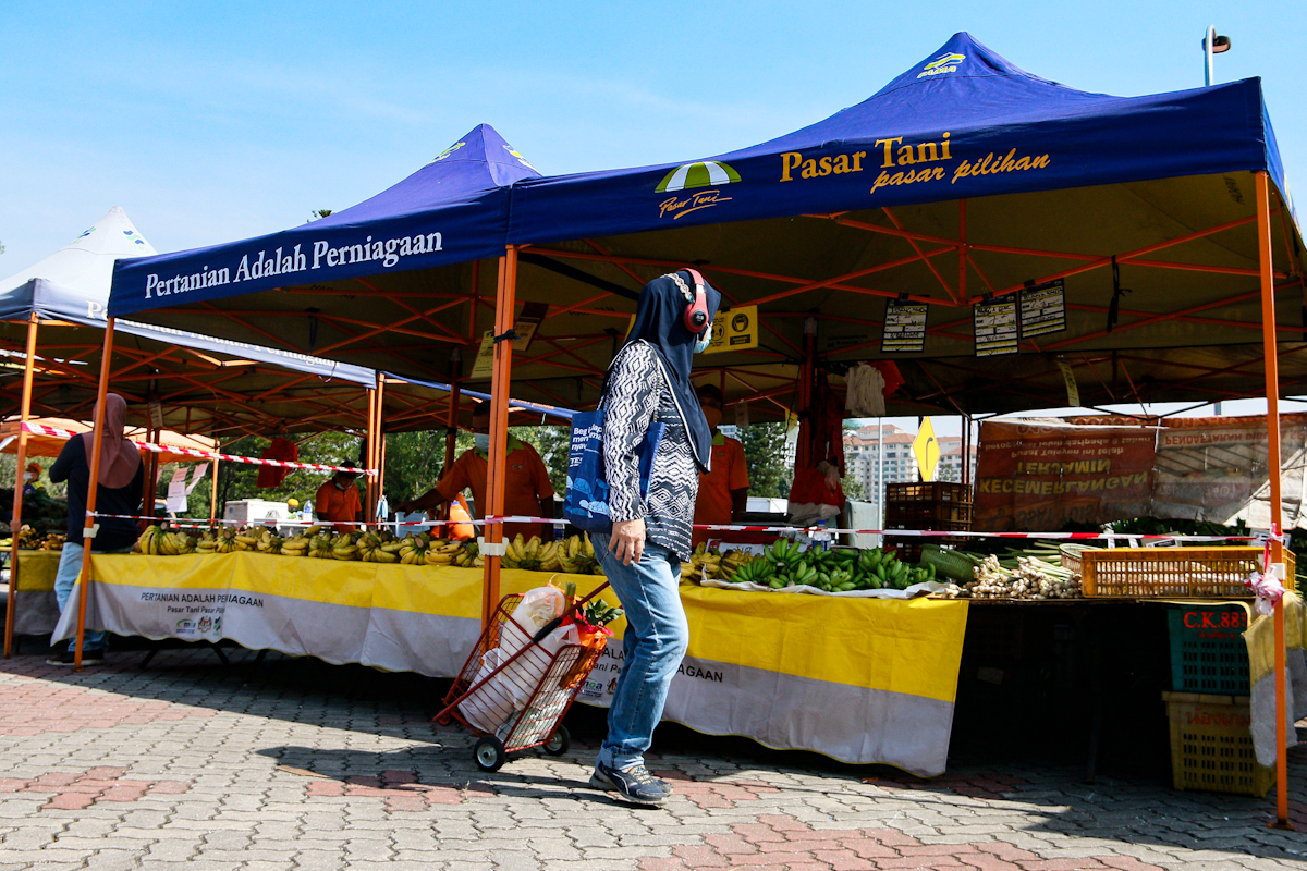 Seven statutory bodies to jointly develop agricultural land to boost food production