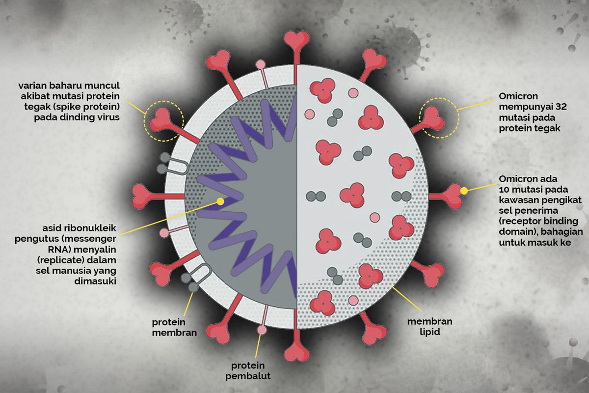 Gelombang Omicron bermula, vaksin mampu kawal jangkitan