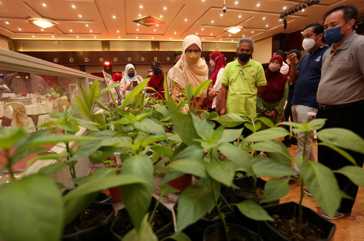 Negeri sedia program bantu pengurusan pangsapuri tingkat pendapatan