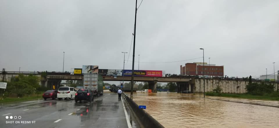 雪邦盆栽业者心血遭洪水摧毁 损失数百千