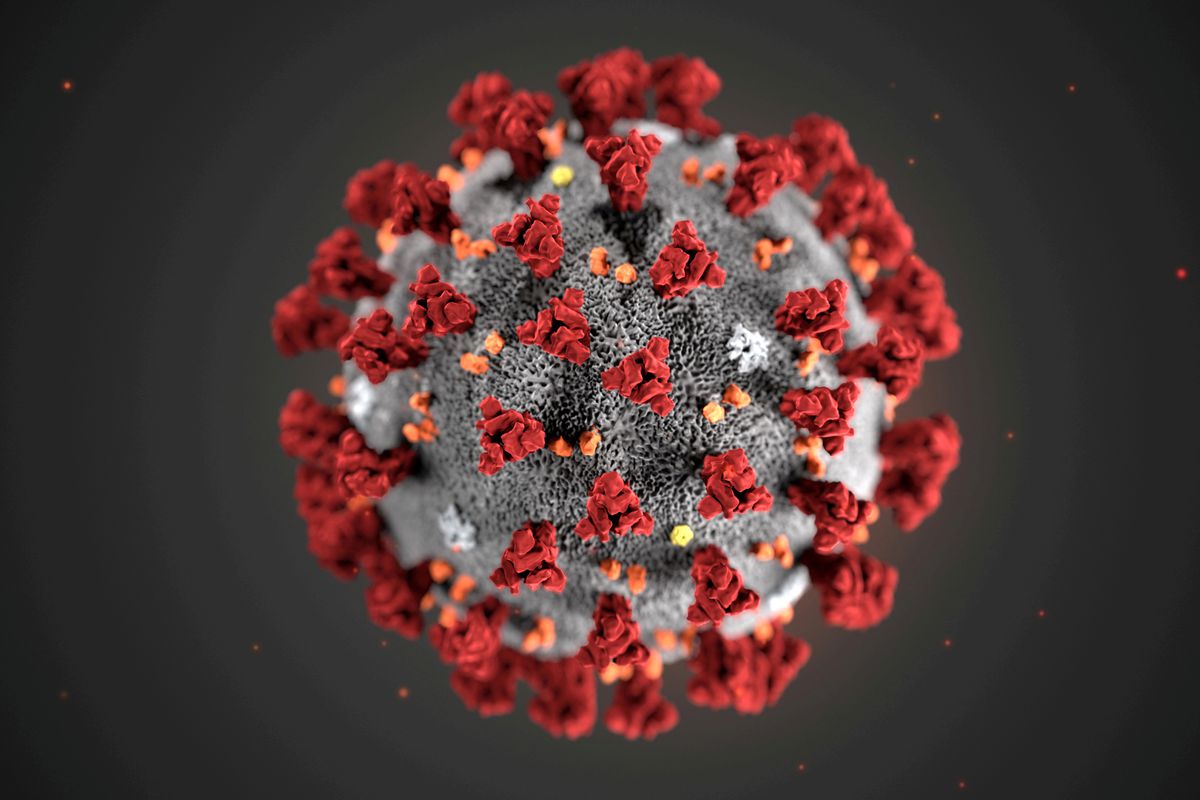 Efficacy of Covid-19 vaccines could be lower for Omicron, says Moderna chief