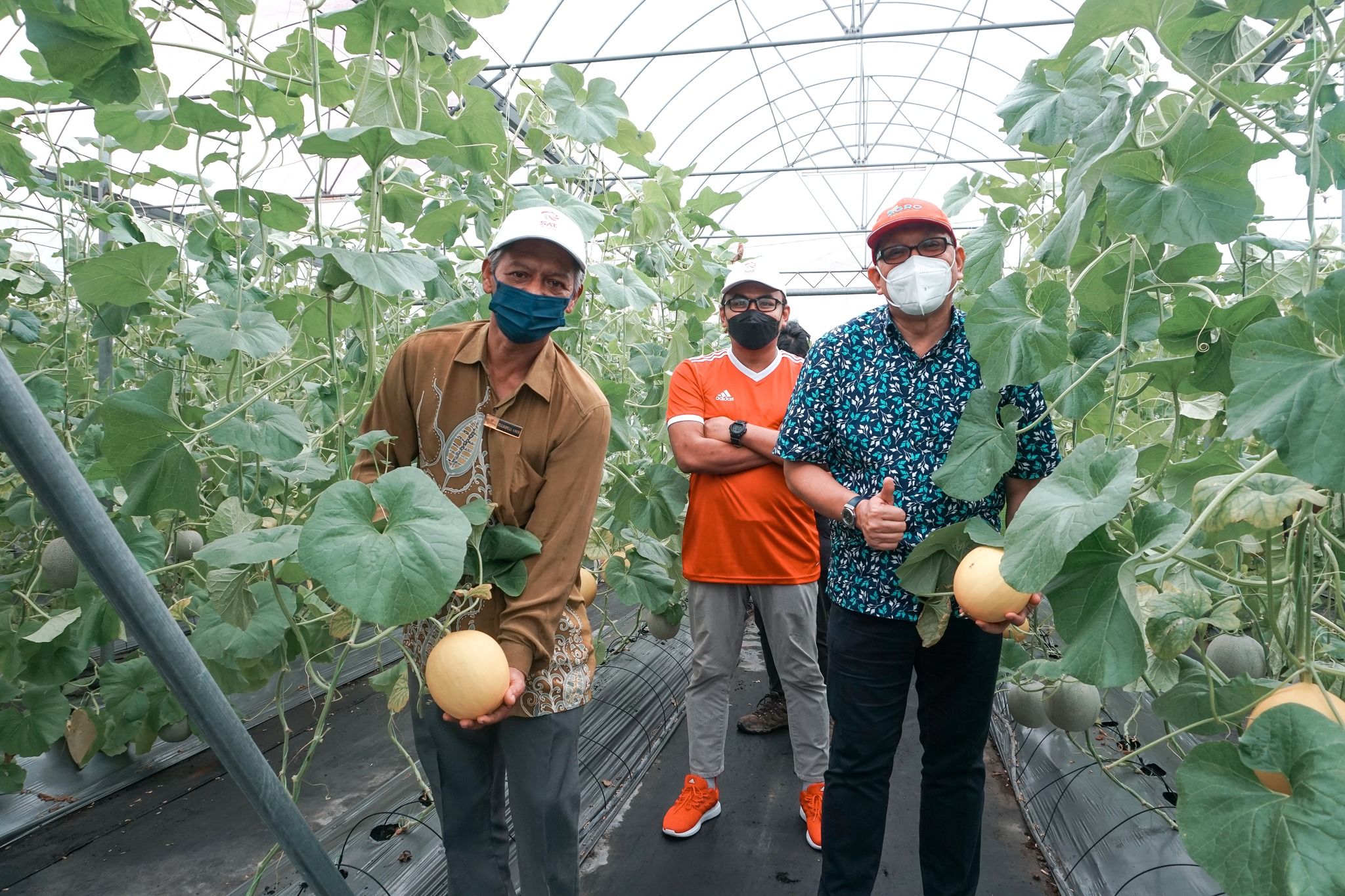 Selangor bakal lancar lima projek tanaman tahun ini