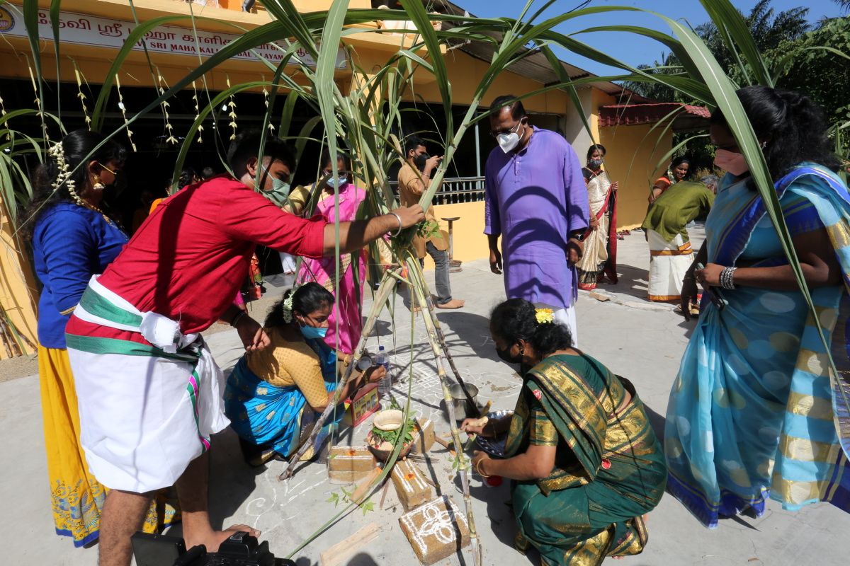 ஶ்ரீ செந்தோசா சட்டமன்ற உறுப்பினர் எற்பாட்டில்   ஶ்ரீ காளிகாம்பிகை ஆலயத்தில் பொங்கல்  