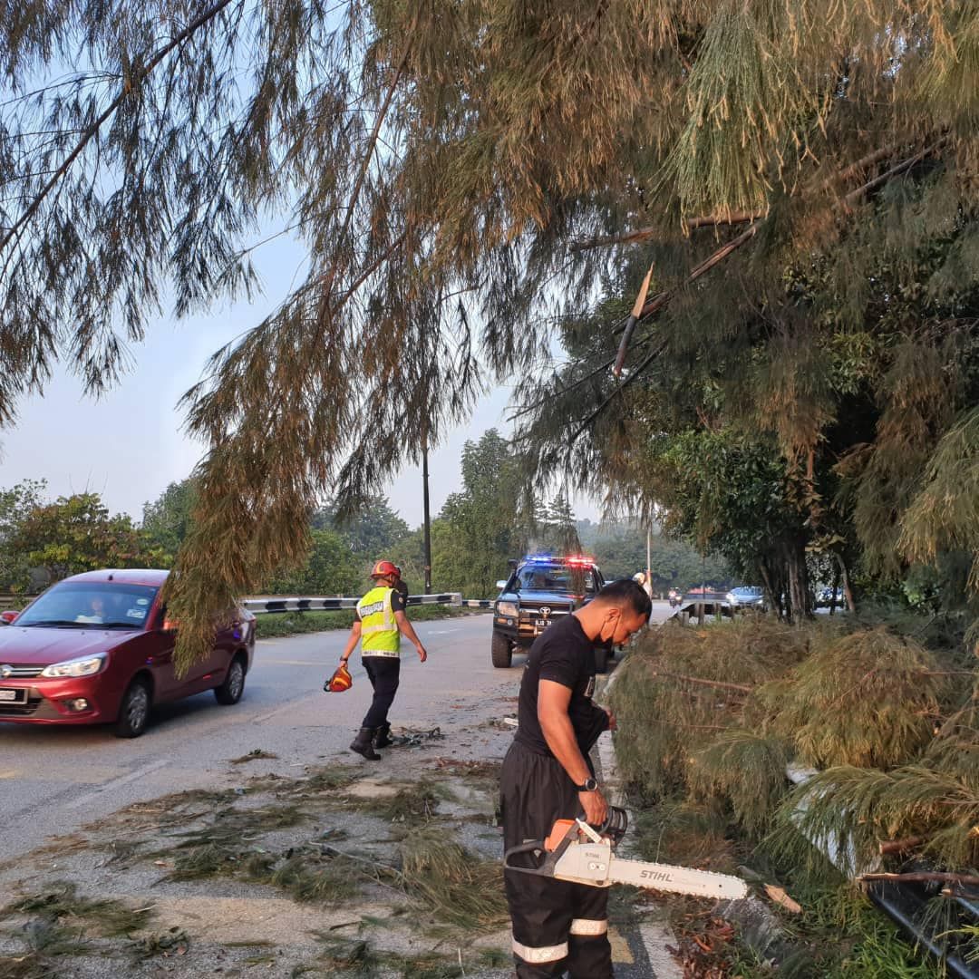 MBSA giat bersihkan pokok tumbang akibat hujan lebat, ribut