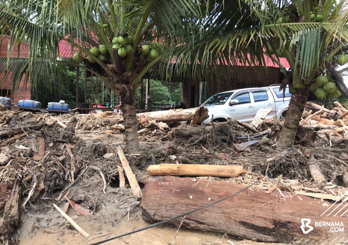 Anwar: Henti pembalakan di lokasi berisiko banjir