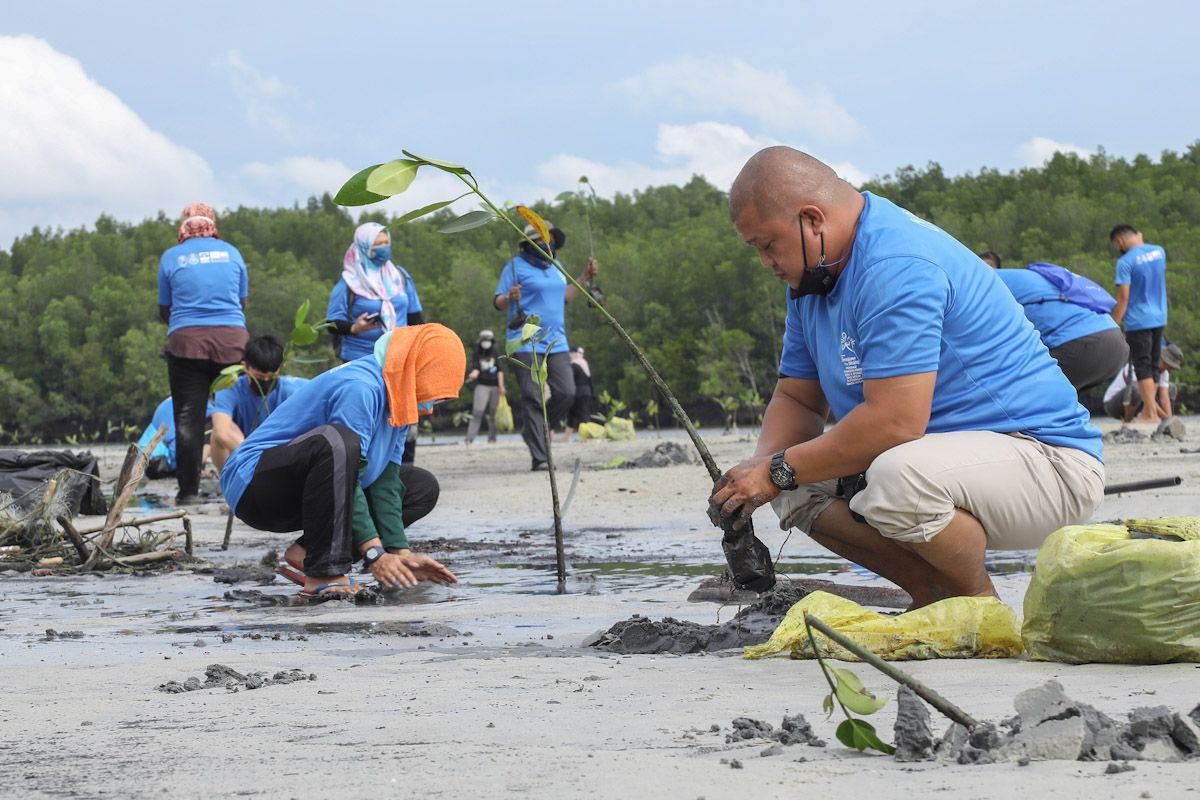 சிப்பாங் வட்டாத்தில் ஆற்று முகத்துவாரங்களில் 1,600 மரங்களை நடும் இயக்கம்