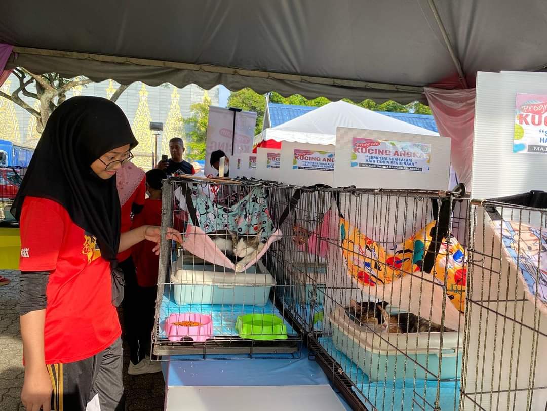 MBSA anjur program kucing angkat, tingkat tanggungjawab pelihara haiwan terbiar