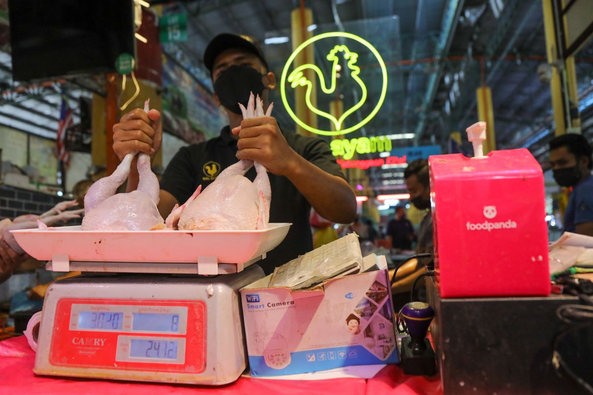 Jualan ayam RM8 dapat sambutan, peniaga mohon tambah bekalan
