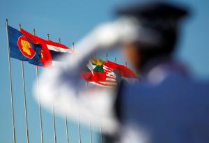 China firmly supports establishment of SEANWFZ