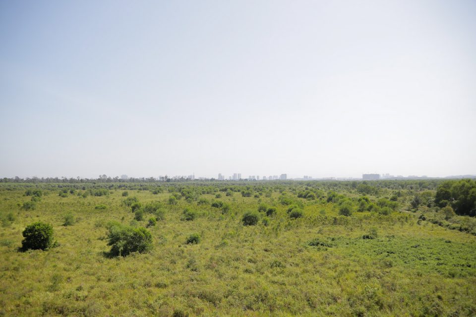 State government to expand forest reserve areas to 33 pct by 2030