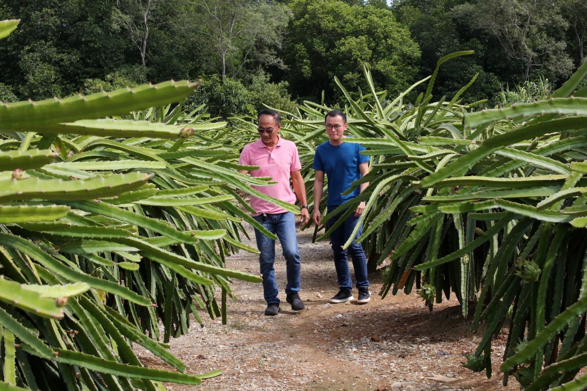 2020年农业代言人：谢文山勇于探索创新 让农业做出新花样