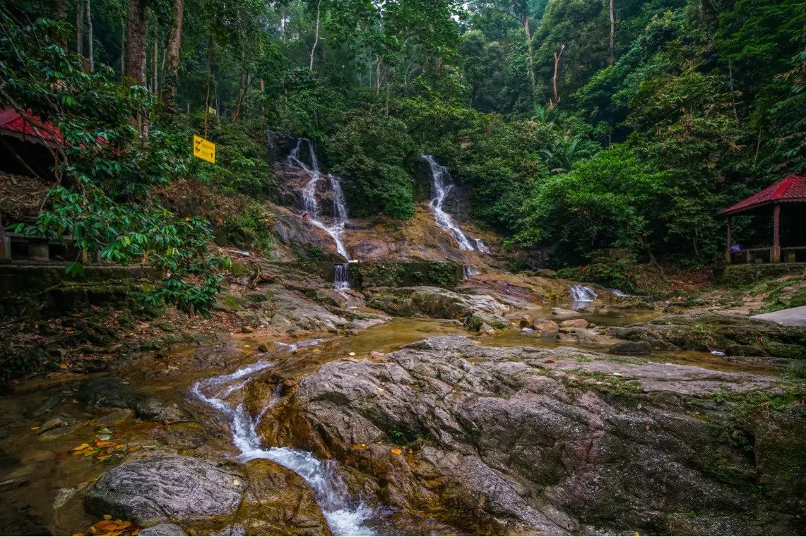 Eco-forest parks, hiking activities in Selangor to re-open on Feb 1