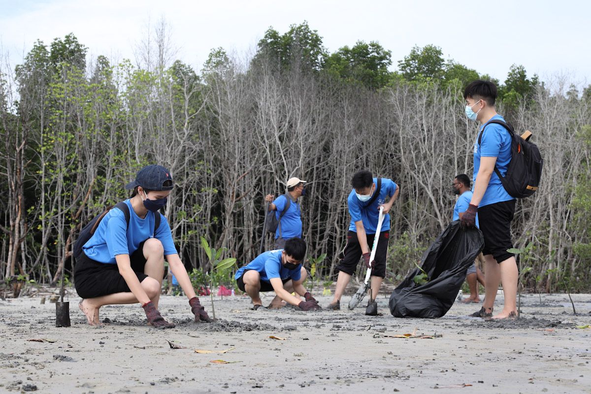 许来贤专访（1/2）：雪州设气候变化特委会  共建绿色生态之路