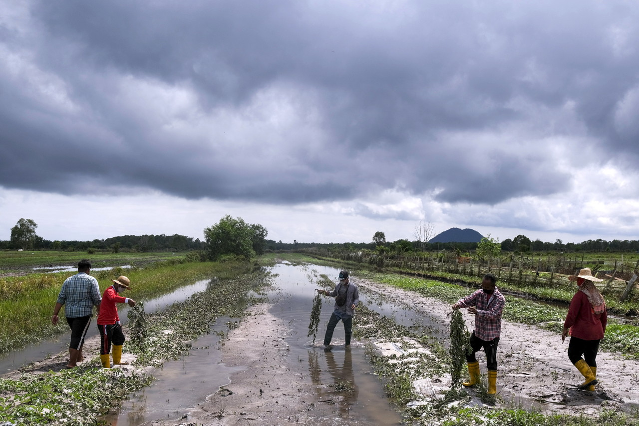 Flood relief: Mafi allocates RM5.6 mln to help 455 breeders