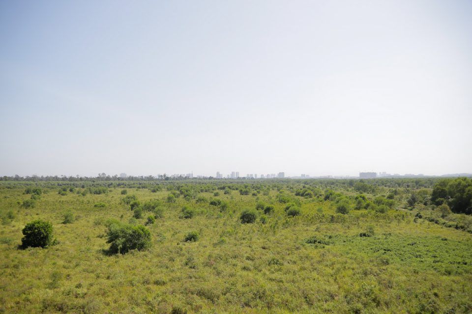 இணையம் வாயிலாக பாதுகாக்கப்பட்ட வனப் பகுதி விற்பனையா? சிலாங்கூர் வன இலாகா மறுப்பு