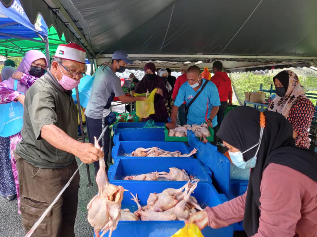 Jualan ayam murah dapat sambutan, pembeli harap laksana sekali sebulan