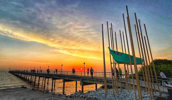 “红树林中的船” 丹村新地标迎游客