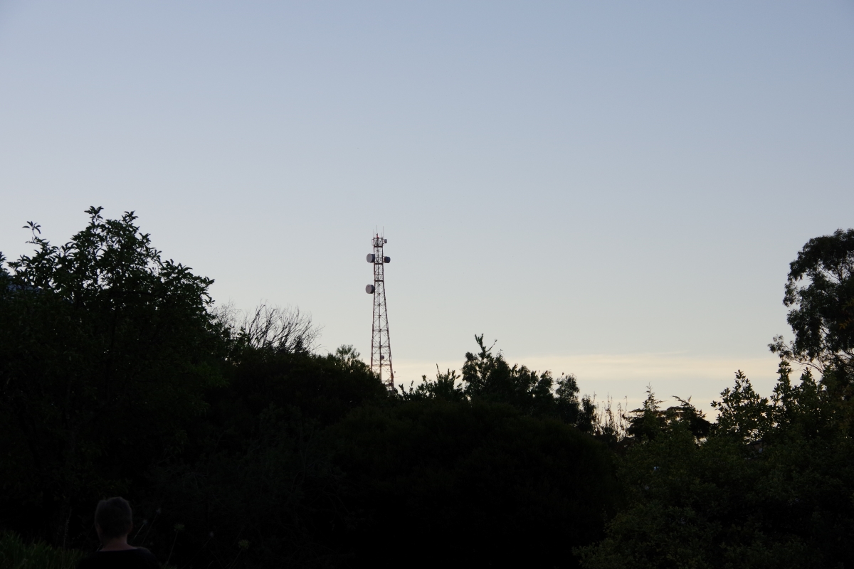 613 illegal telecommunication towers built in Selangor over past 10 years