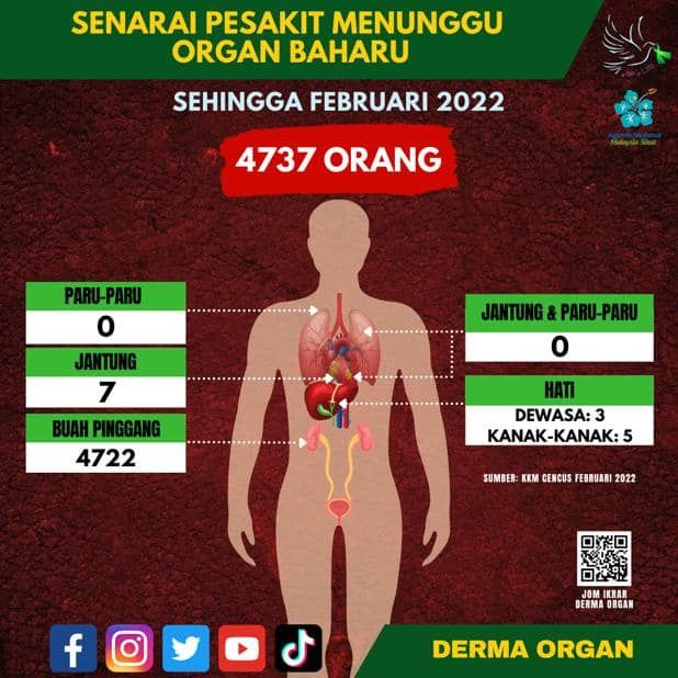 我国4737终末期患者 卫生部：等待器官捐赠移植