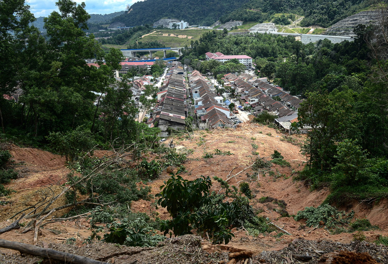 MPAJ to cut down all trees at 61 slopes in April to prevent soil movement