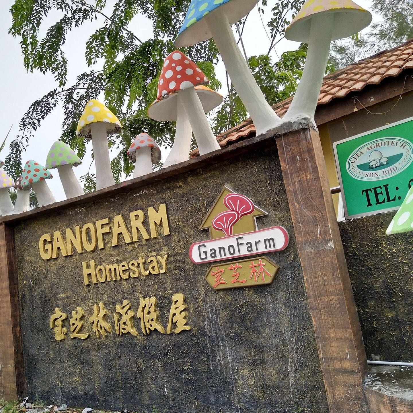 旅游部廉价酒店装修补贴申请 延长至6月30日结束