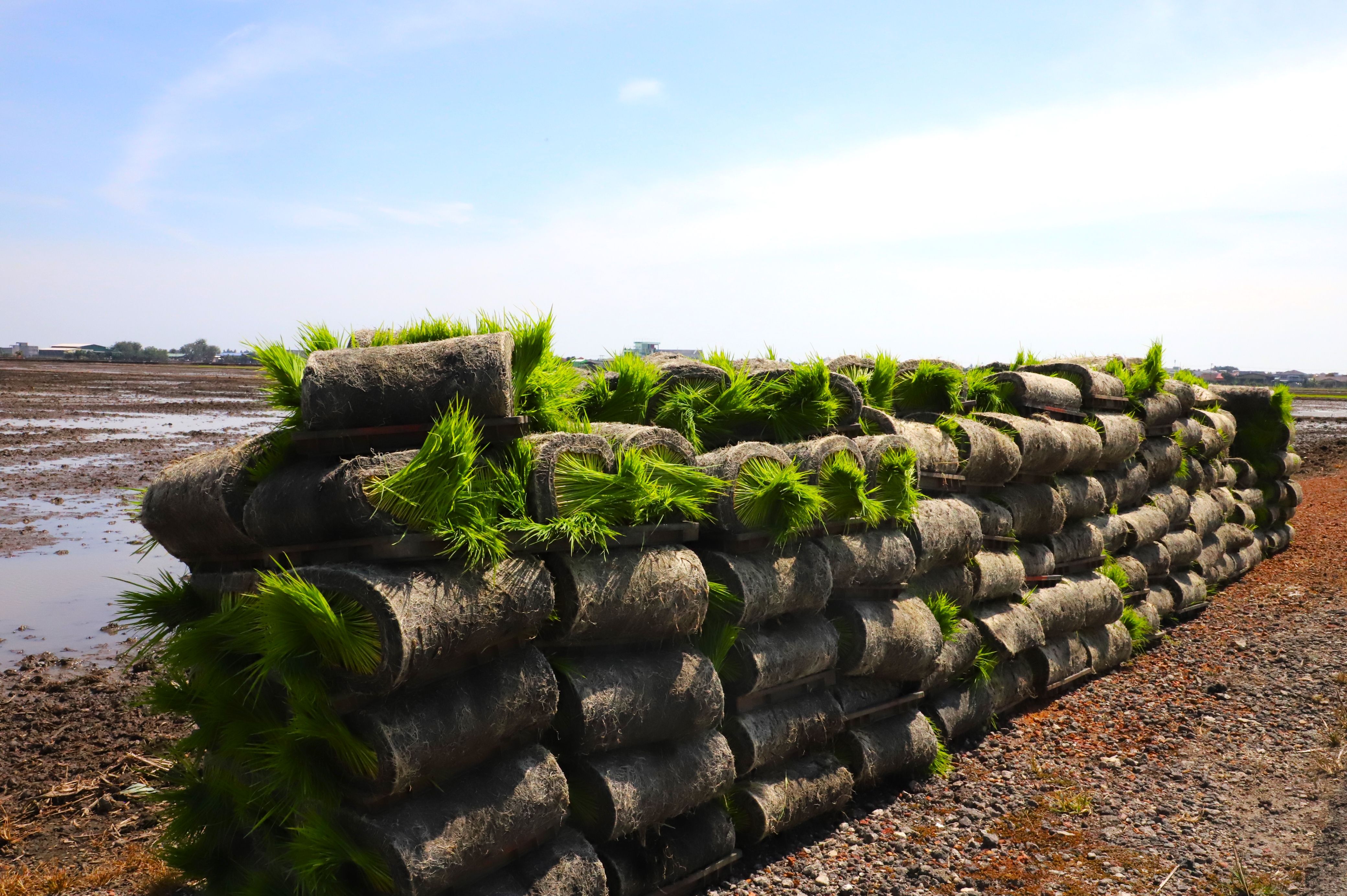 黄瑞林促旅游业者不断革新 带动适耕庄永续发展