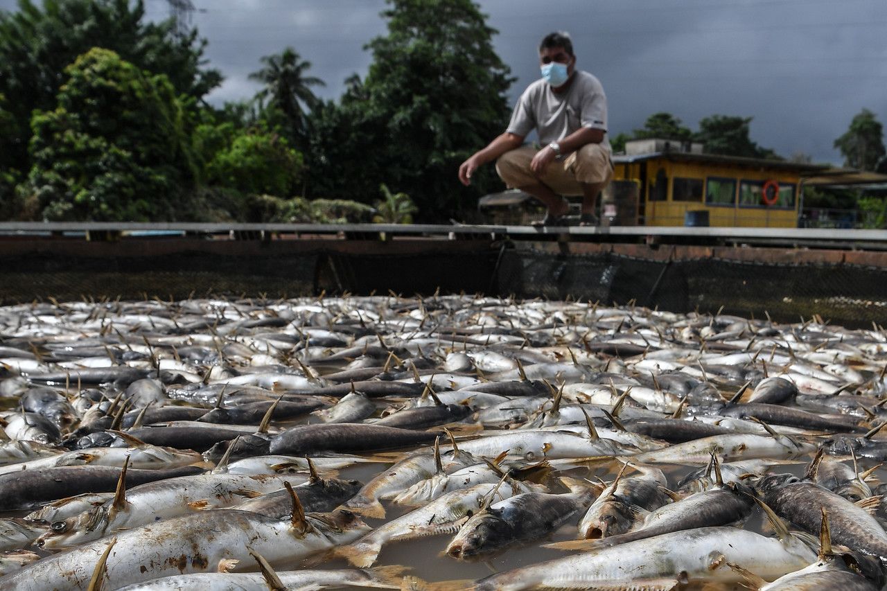 Angka mangsa banjir di Kelantan, Terengganu terus menurun