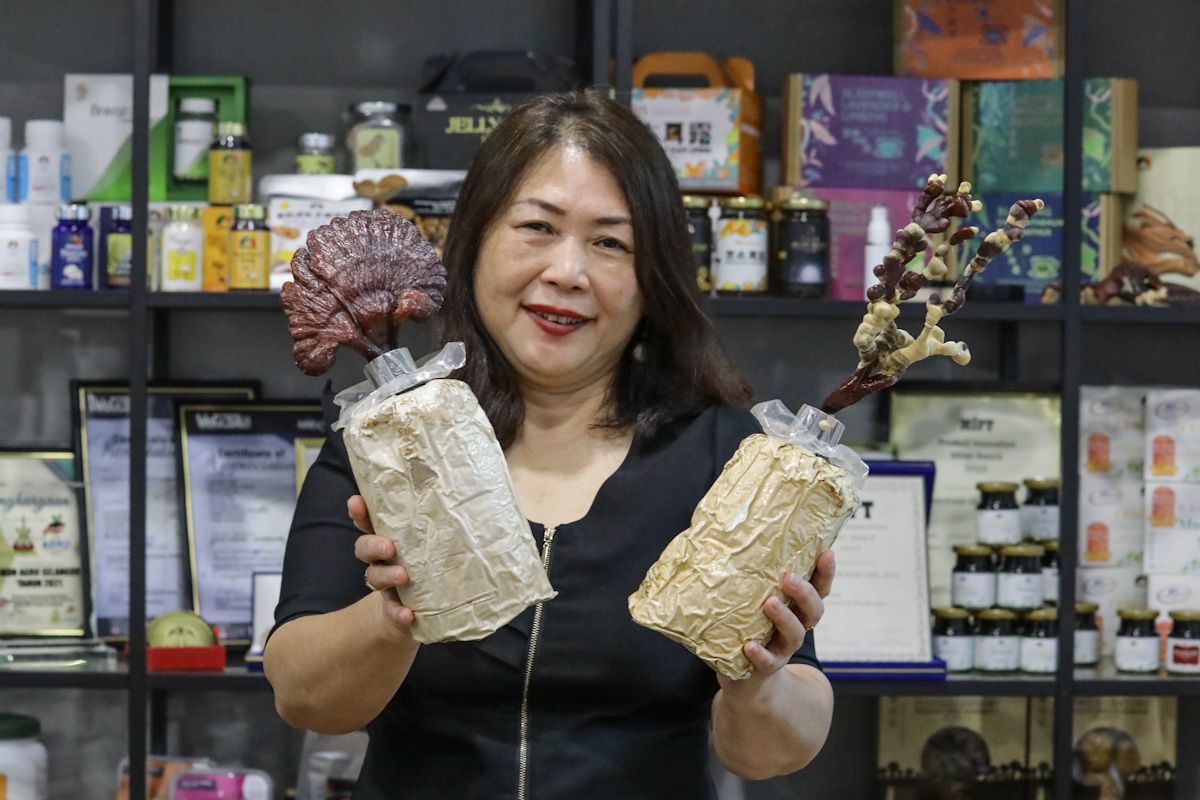 2020年农业代言人：埋头钻研真菌35载 庄宝月用心养菇护农业