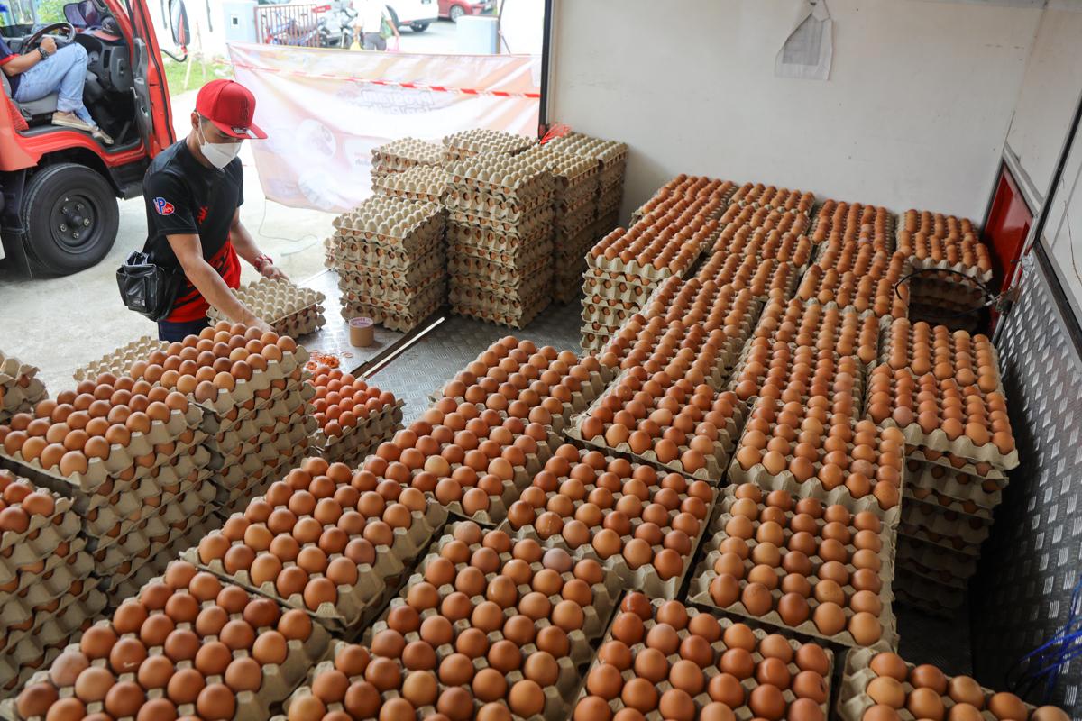 Penurunan harga telur ayam bantu golongan kurang mampu, seru harga makanan diturunkan