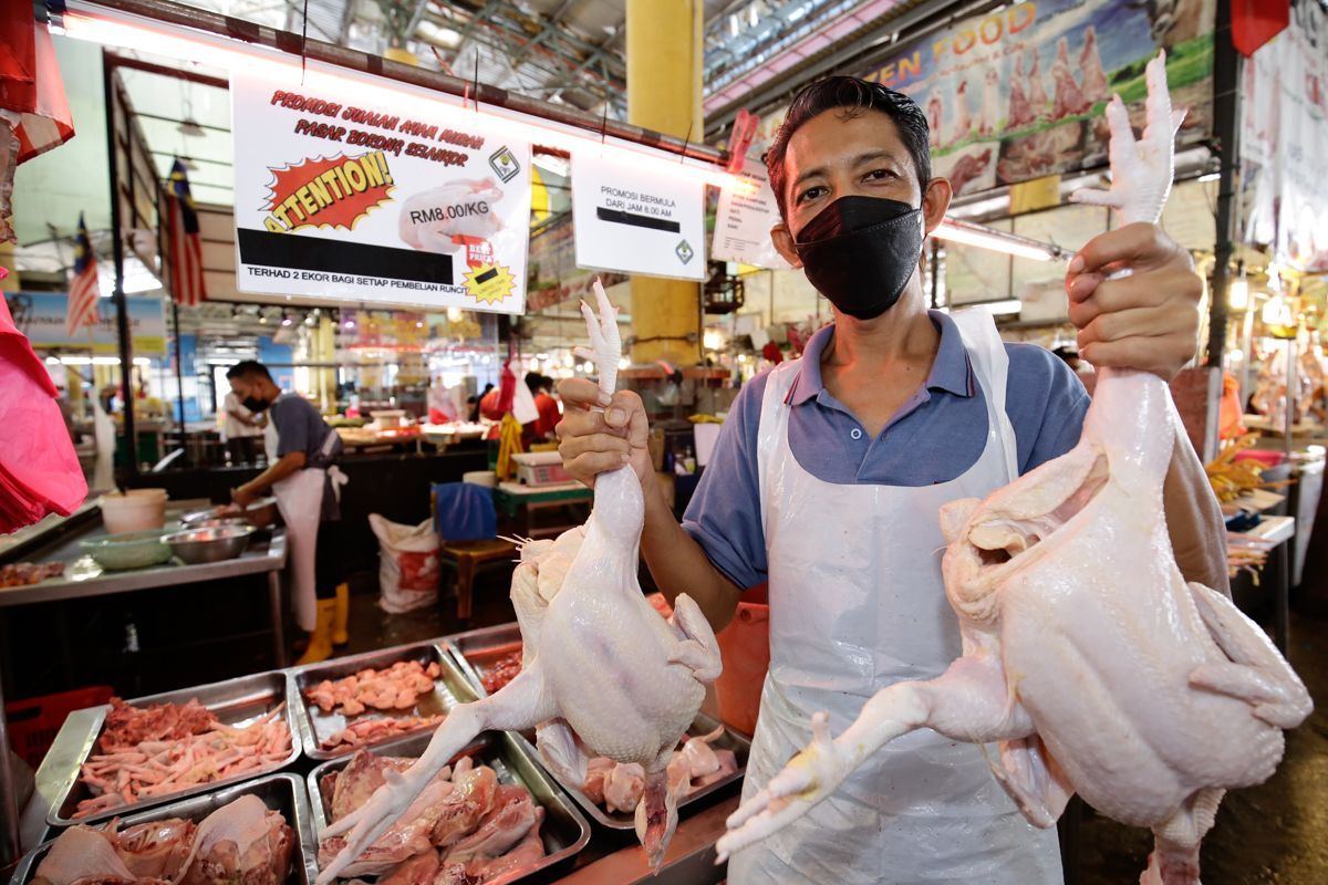 Jual ayam murah, peniaga Pasar Borong Selangor dapat subsidi sewa tapak