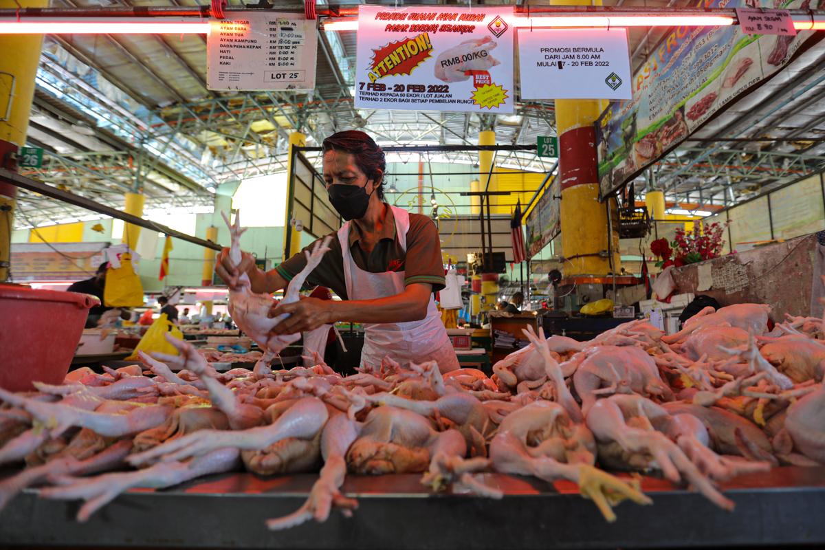Jualan ayam murah dapat sambutan, peniaga harap inisiatif diteruskan
