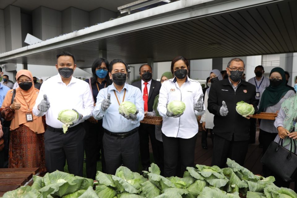 Urban agriculture concept transform Wisma MBSA's rooftop