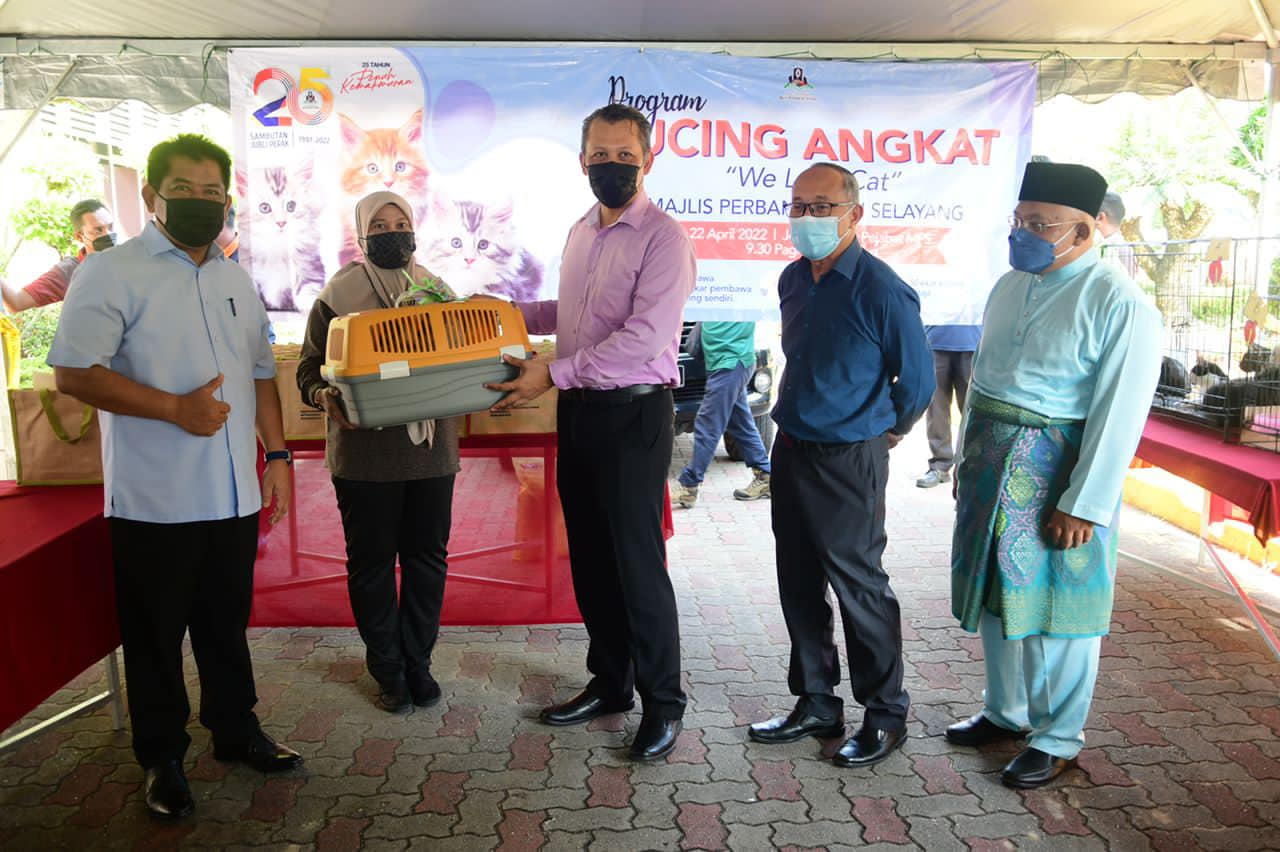MPS anjur program angkat, pastikan kucing terbiar dapat penjaga