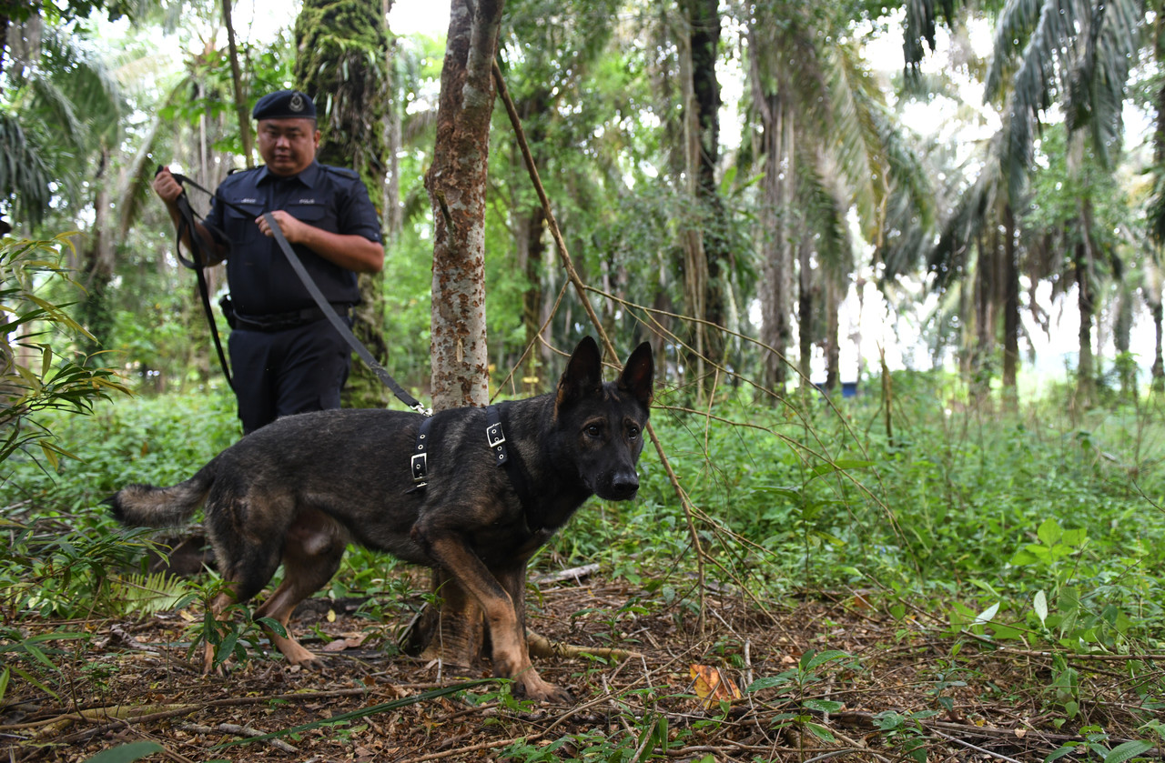 Tahanan Rohingya lari, polis buru dalang utama umur 30-an